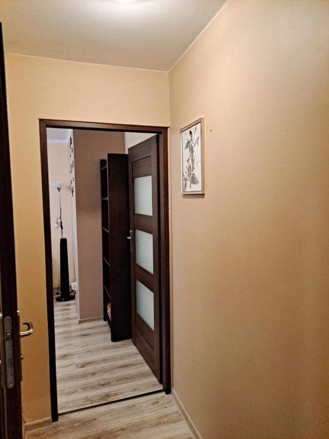 Monica Apartment Jelenia Gora Exterior photo