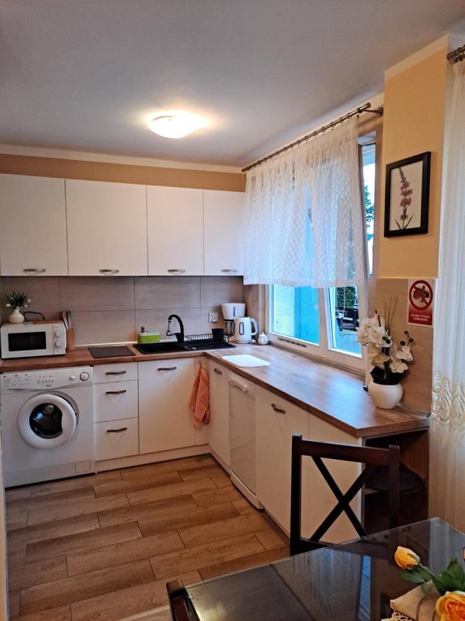 Monica Apartment Jelenia Gora Exterior photo